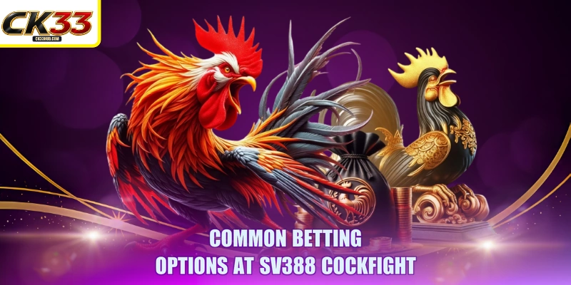 Common betting options at SV388 Cockfight